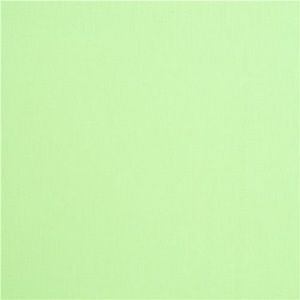 Meet your Posher, Raechael